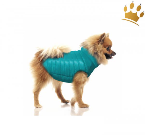 Hundemantel zum wenden Nordik - Türkis / Schwarz