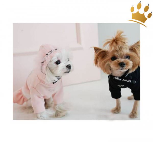 Puppy Angel Hundesweater Basic Rosa