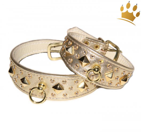 Hundehalsband Pharao Gold