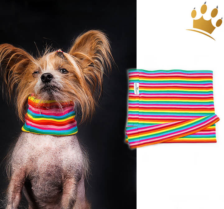 HundeLoop Schal Canicolore Hundemode Duftmarke Hunde Schal