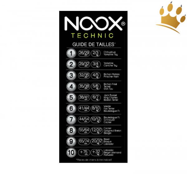 Noox Hundepullover Discovery Orange