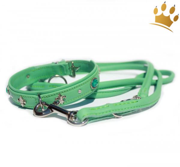 Hundeleine Summer Mint