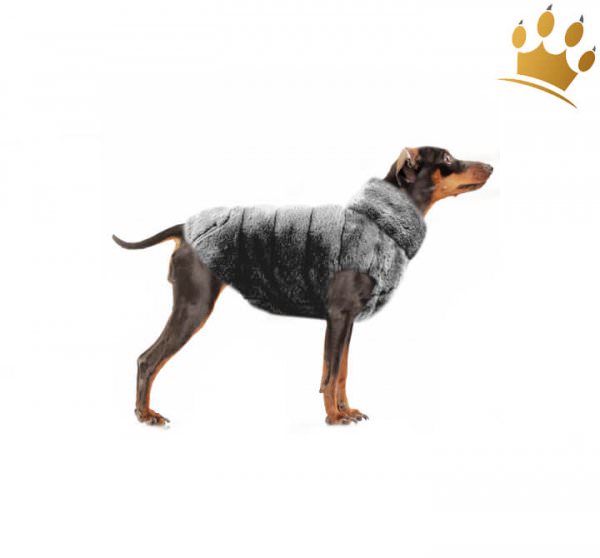 Milk & Pepper Kristen Hundemantel wendbar