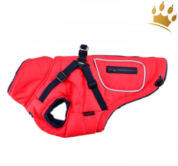 Puppia Hundemantel Pioneer Rot seitlich