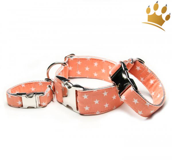 Hundehalsband Little Star Orange