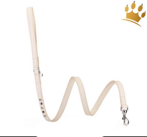 Malucchi Hundeleine Bright Braun