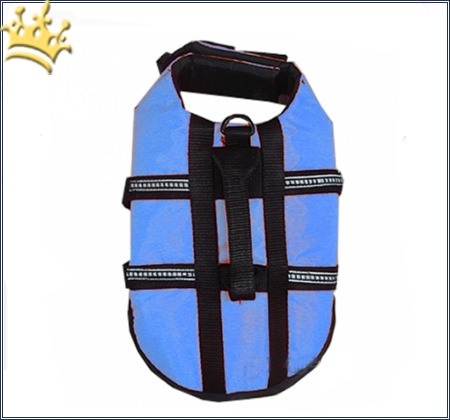 Hundeschwimmweste Easy Safe Blau