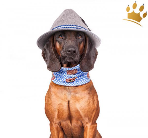 Hunde Loop Hundeschal