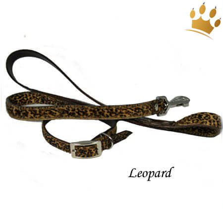 Mufasa Set Leopard