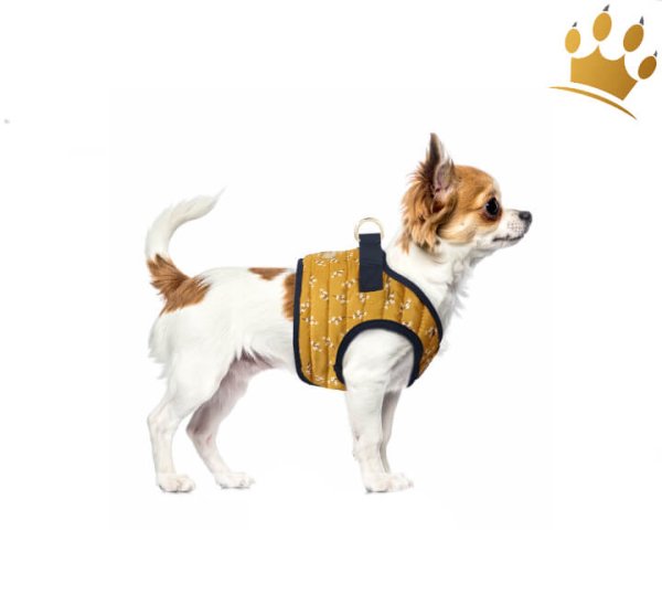 Mlk & Pepper Emmy Hundegeschirr