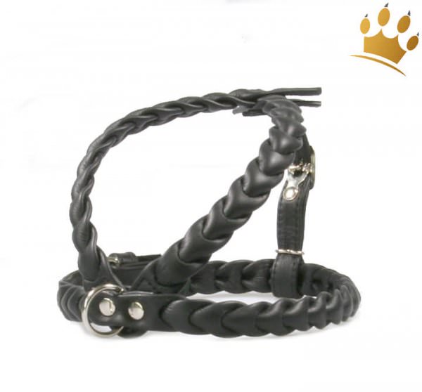Leder-Hundegeschirr Ascot Cognac
