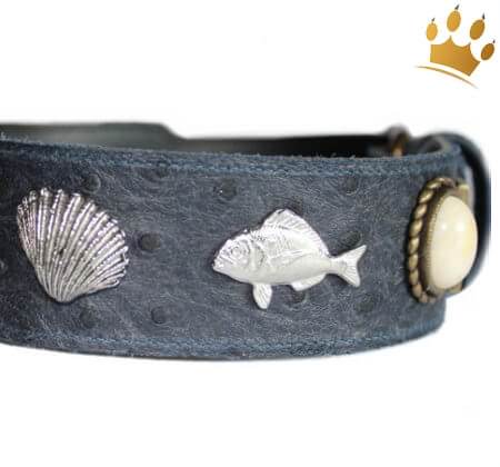 Hunde-Lederhalsband Poseidon Detail