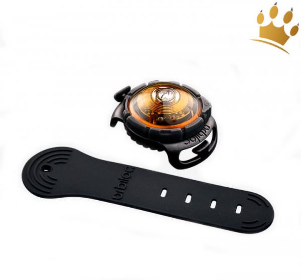 Orbiloc Leuchtbutton Dog Dual Yellow