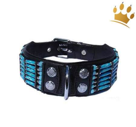 Hundehalsband Blue River 50mm