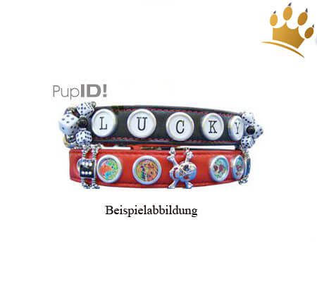 Hundehalsband PuP-PuP TM Orange/Yellow