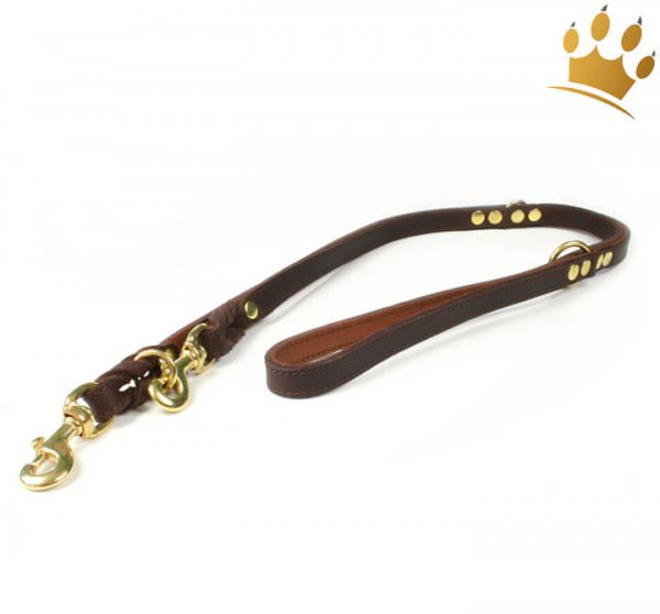 Hundeleine Luxor Braun 200cm