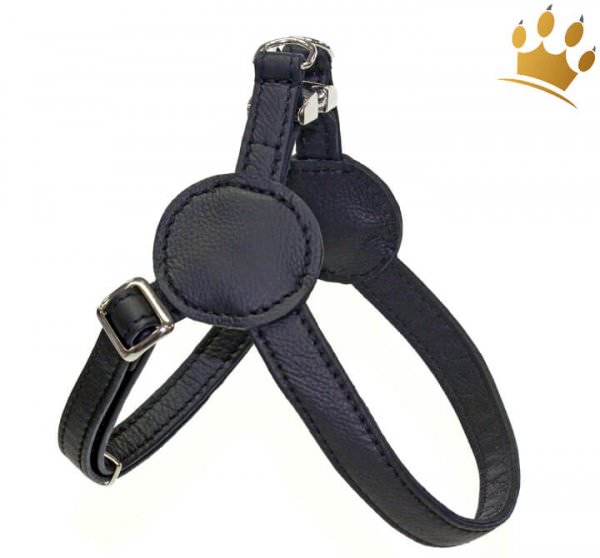 Malucchi Hundegeschirr Movie Schwarz