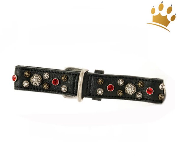 Malucchi Halsband Samarcanda 3cm Schwarz