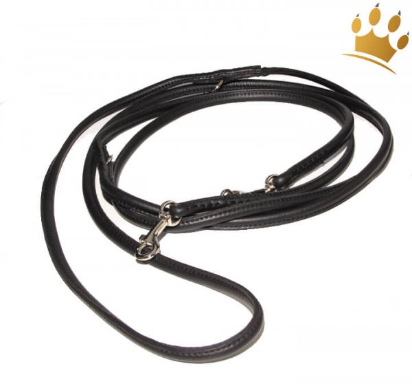 Hundelederleine Rundgenäht 300cm