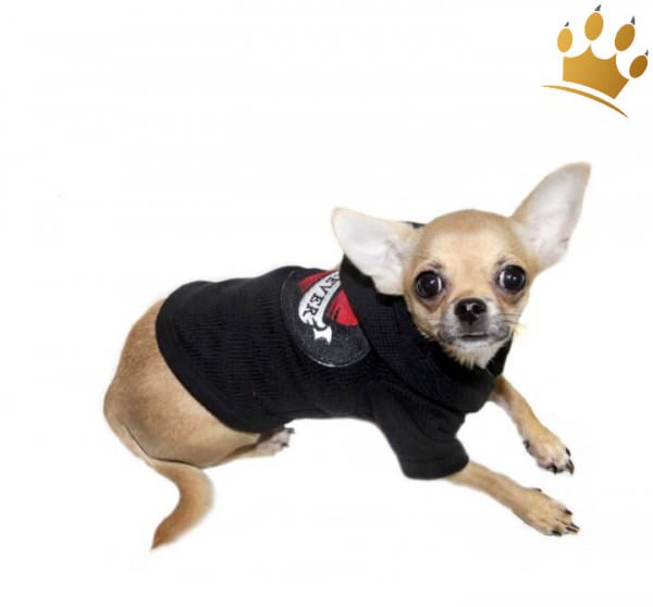 Hundesweater Forever Schwarz