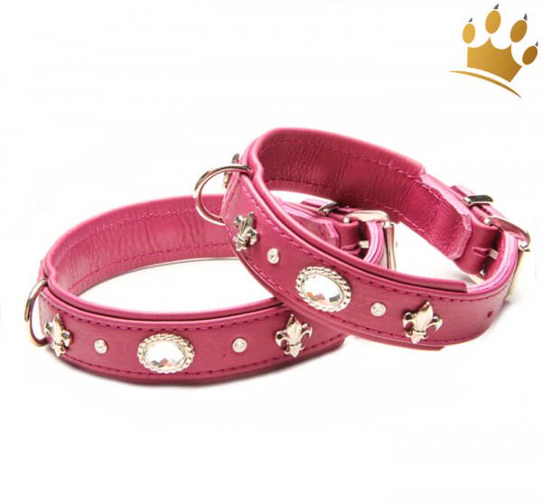 Hundehalsband Thunder Himbeere Petit