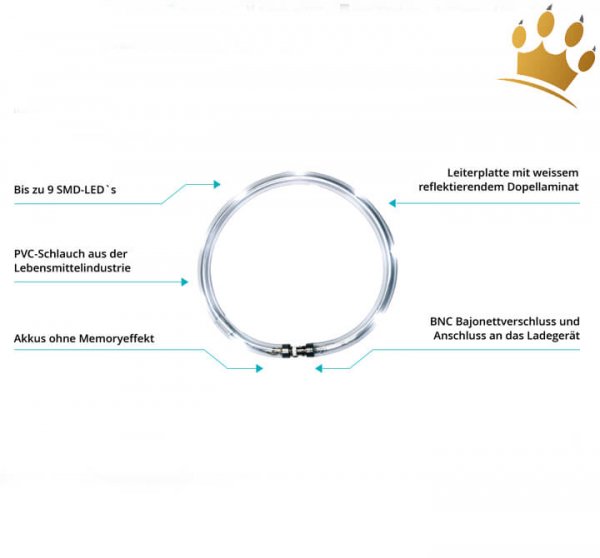 Hundeleuchthalsband led akku detail