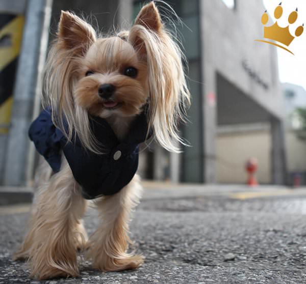 Puppy Angel Hundemantel Luxury Faux Down Navy