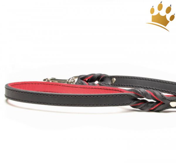 Hundeleine Silver Rot 100cm