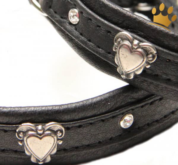 Hundehalsband Herzerl Schwarz Petit
