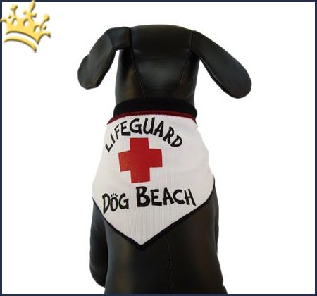 Hundebandana Lifeguard