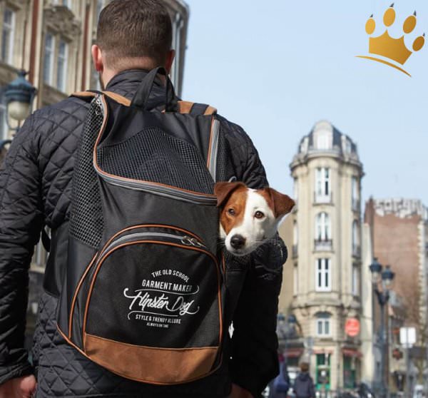 Hunderucksack Travel