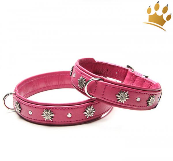 Hundehalsband Edelweiß Bavaria Himbeere