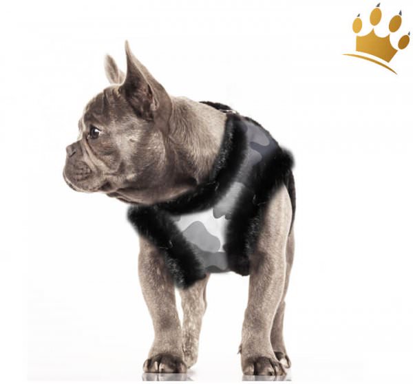 Milk & Pepper Step In Hundegeschirr Ollie