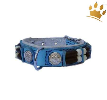 Hundehalsband Baby Blue Eagle 15mm