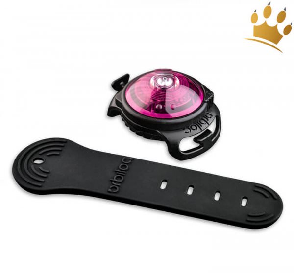 Orbiloc Dog Dual Pink