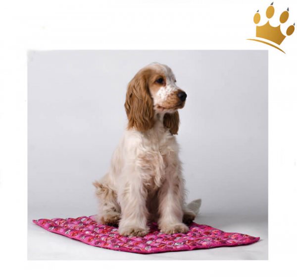 Kühlmatten Aqua Cool-Keeper Matt Pink