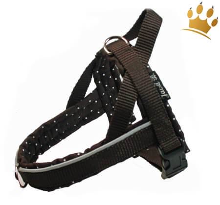 Jack-B Hundegeschirr Braun Dots
