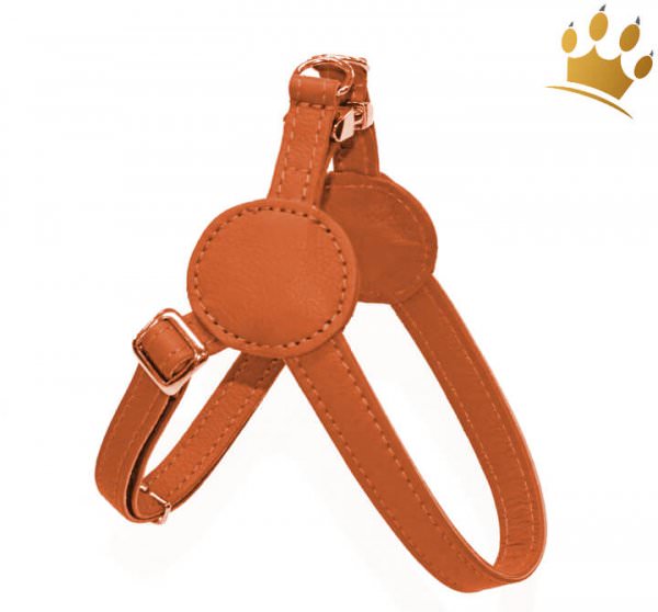 Malucchi Hundegeschirr Movie Orange