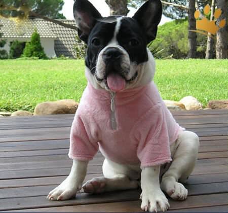 Hundepullover Sena Rosa