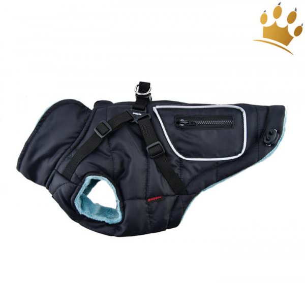 Puppia Hundemantel Pioneer Blau