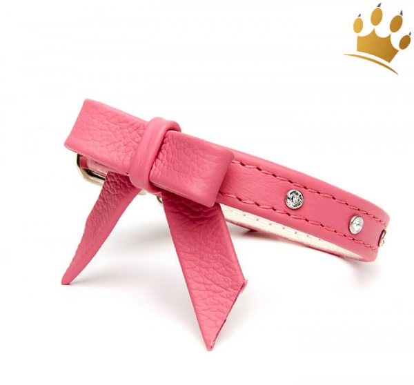 Hundehalsband Faszination Pink