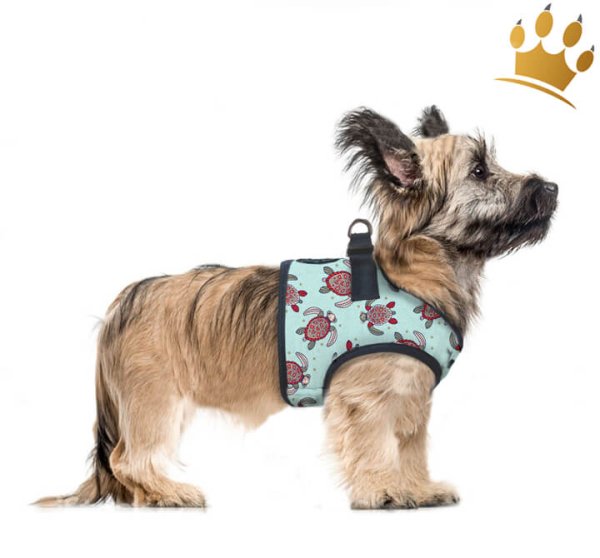 Milk & Pepper Step In Manahau Hundegeschirr Green