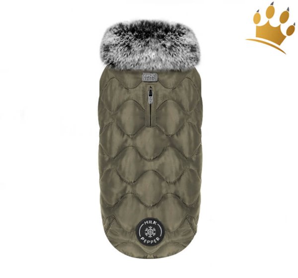 Milk & Pepper Hundemantel TheOdore