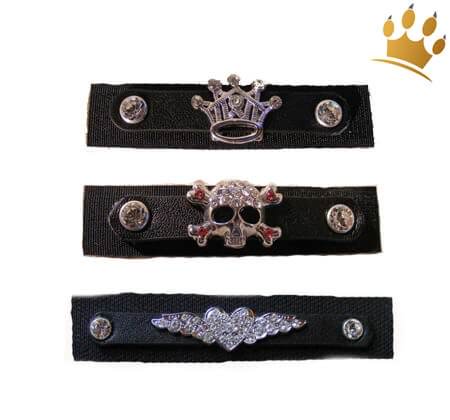 MyDog Strasslogos Gr.1 (A,B,C,D)