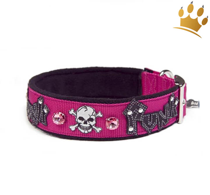 Newtensina Punk-Halsband Mit Leine Für Hunde – Stylisch Mit Nieten