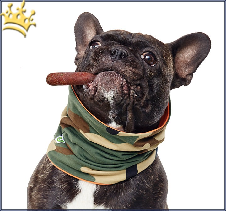 Hundeloop Hundebekleidung Hundeschal Duftmarke Hunde Loop