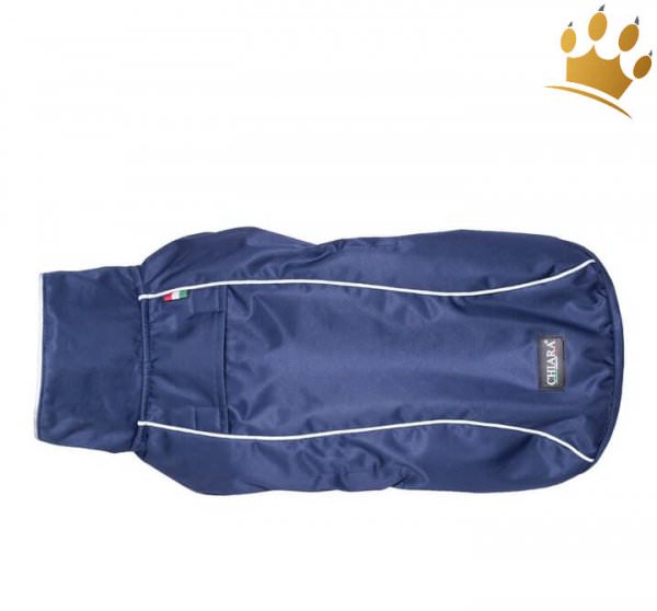 Regenmantel Hund Scotty Blau mit Geschirr