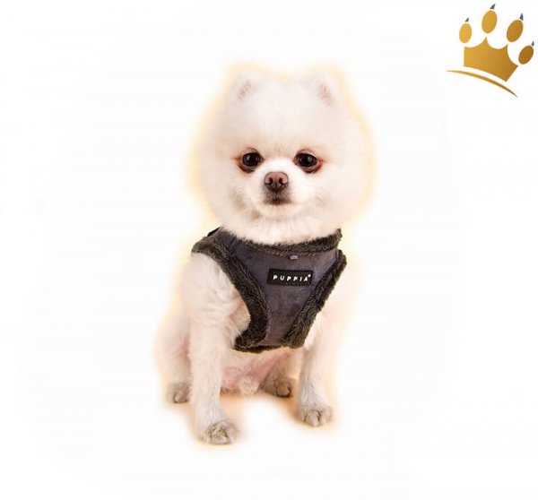 Puppia Step In Hundegeschirr Terry Braun Hund