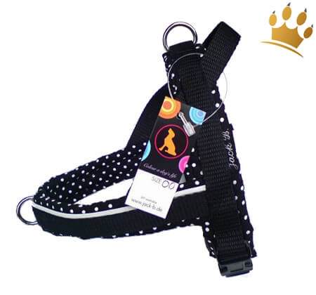 Jack-B Hundegeschirr Black Dots