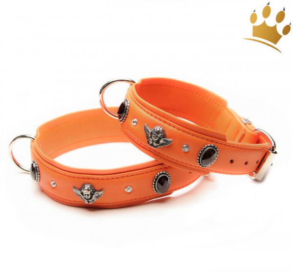 Hundehalsband Bella Angelo Orange